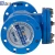Import Swing Type Check Valve Horizontal or Vertical from China