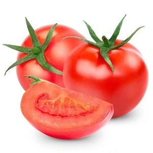 SXTS No.1403 Pink hybrid Tomato Seeds