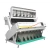 Import Thailand jasmine rice color Sorter Machines Wholesale Price CCD Color Sorter for long-Grain Rice Japan mill from China