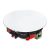 Tianlai TL-JX603 Altavoz 6.5 Pulgads Home Theater Sound System 100W 6.5 Inch Speakers In Ceiling Speaker