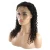 Import Top Quality Remy Human Hair Virgin Brazilian Hair Curly Wigs Cuticle Aligned from China