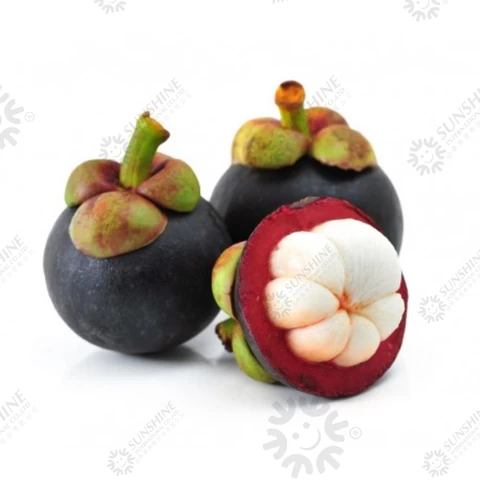 Tropical Fruit Fresh And Sweet No Preservative Special Taste Natural Premium Quality Steamed Fresh Mangosteen