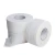 Import ultra Soft exquisite maxi roll tissue  core or Core less paper public toilet paper from China