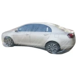 Universal Auto Custom Clear HDPE Disposable Plastic Car Cover