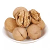 Unwashed Xingjiang Light Color Raw Bulk SNS walnut in shell