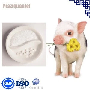 USP41 Praziquantel powder veterinary medicine