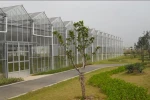 uv plastic sheets agricultural greenhouse price