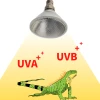 UVA UVB heating metal halide lamp pet reptile for destert and jungle type all-in-one par30 light