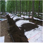 vermicompost organic fertilizer price