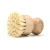 Import WanuoCraft Biodegradable Eco Friendly Coconut Sisal Bristles Pot Scrubber Brushes Bamboo Mini Dish Palm Scrub Brush from China