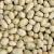 Import We are supply peanuts , blanched peanut kernels in round shape with good quality from China