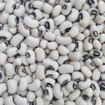 white butter beans for sale