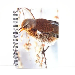 Wholesale 3d Lenticular Printing Plastic Crafts A5 Notebooks
