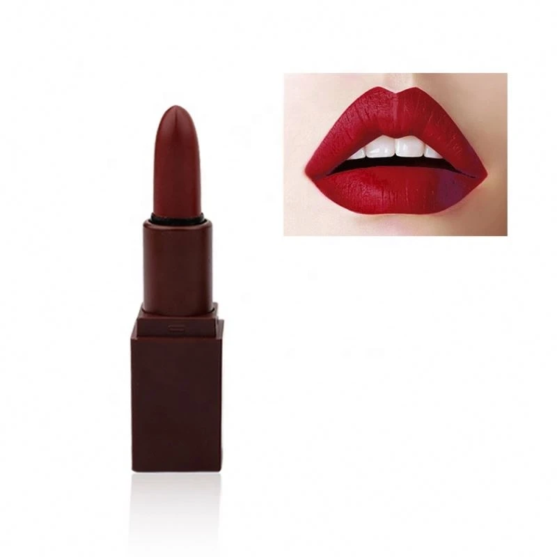 Wholesale 5pcs/set Waterproof Matte Liquid Lipstick Set Nude Brand Makeup lip gloss Collection Set for Women