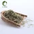 Import Wholesale Condiment Seasoning Spice Dried Rosemary Herb sell rosemary from China
