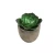 Import wholesale custom home decor indoor artificial succulent plant simulation succulents potted plants from China