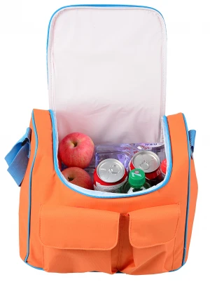 Wholesale Custom Outdoor Picnic Keep Warm Keep Ice Insulated Cooler Bag Shoulder bag Lunch Bag Backpack