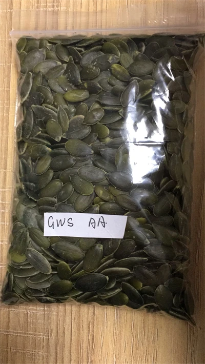 Wholesale Factory GWS Pumpkin Seed Kernel Organic and Healthy