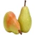 Import Wholesale Fresh Pear / Pear Fruit Price / Fresh Pear Fruit In Brazil from Brazil
