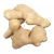 Import Wholesale Ginger Fresh From China from China