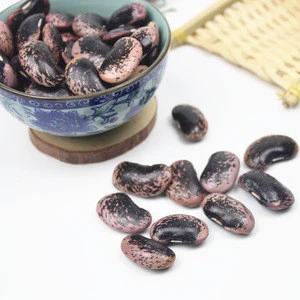 Wholesale High Quality Big Black Speckled Kidney Beans