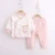 Import Wholesale New Born Baby Clothing 0-3 montths Baby Clothing Cotton long sleeves underwear set from China