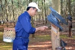 Wholesale of high quality Vietnamese fresh rubber