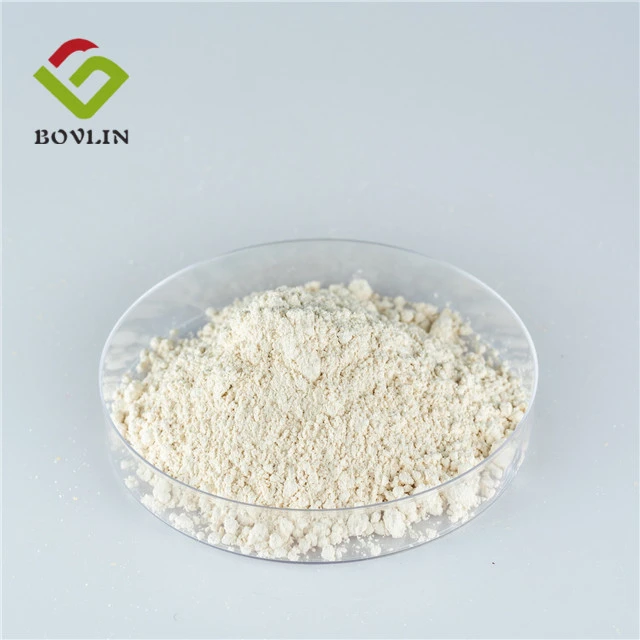 Wholesale Price Hemp Seed Flour 50% 70% Organic Hemp Seed Protein Powder