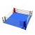 Wholesale price international standard MMA floor boxing ring for sale