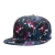 Import Wholesale Producer Top Level Free Samples Customize Brand Different Types Size 9 Fitted Flat Brim Snapback Caps from China