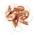 Import Wild fresh caught white brown whole frozen live cooked shrimp from USA
