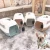 Import Portable foldable air box for cats and dogs from China