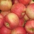 Import Top guality fresh royal fruit gala apple from Thailand