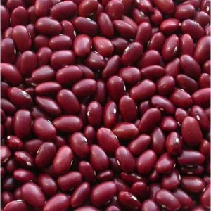 red kidney beans top quality supplier from Rwanda