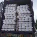 OE cotton yarn