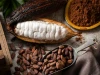Fermented Unroasted Cocoa Beans from Dak Lak Vietnam