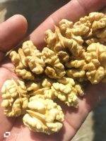 fresh kashmiri walnut kernal