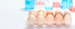 Disposable Egg Tray