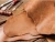 Import Premium Raw Leather / Raw Hides for Crafts & Manufacturing (Pakistan) from Pakistan