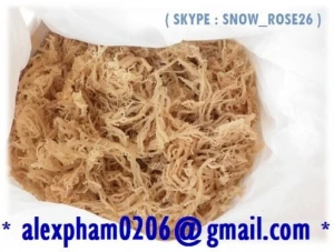 Dried Eucheuma Cottonii Seaweed / Golden Irisk Seamoss/Kappaphycus Alva_whatsapp 0084399948793