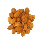 Almonds Fresh and Rich Kashmiri Almonds Full of Taste Organic Almond Fresh