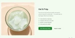 Aloe Vera (Gel /Pulp)