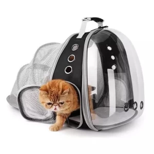 Traveling Outdoor clear breathable Bag Cat Backpack