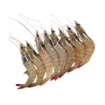 High Quality Fresh Frozen Whole Vannamei Shrimp Small to Large Size
