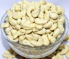 Wholesale Cheap Roasted Cashew Nuts