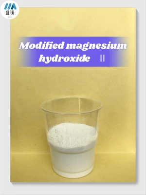 Modified magnesium hydroxide Ⅱ