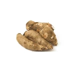 African Natural Tropical Casava Root Bulk Export Wholesale Supplier High Quality Fresh Casava for Europe Buyers
