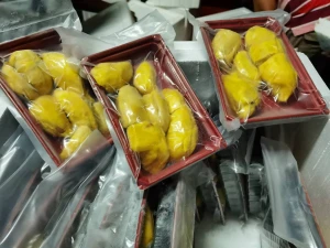 D197 Musang King Durian 300g 400g Packaging