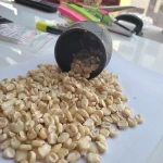 High quality white corn offered at low prices for bulk and wholesale buyers