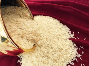 Thai Jasmine,  Sella Basmati Rice Thai Parboiled Rice 5%, & Japonica Rice,